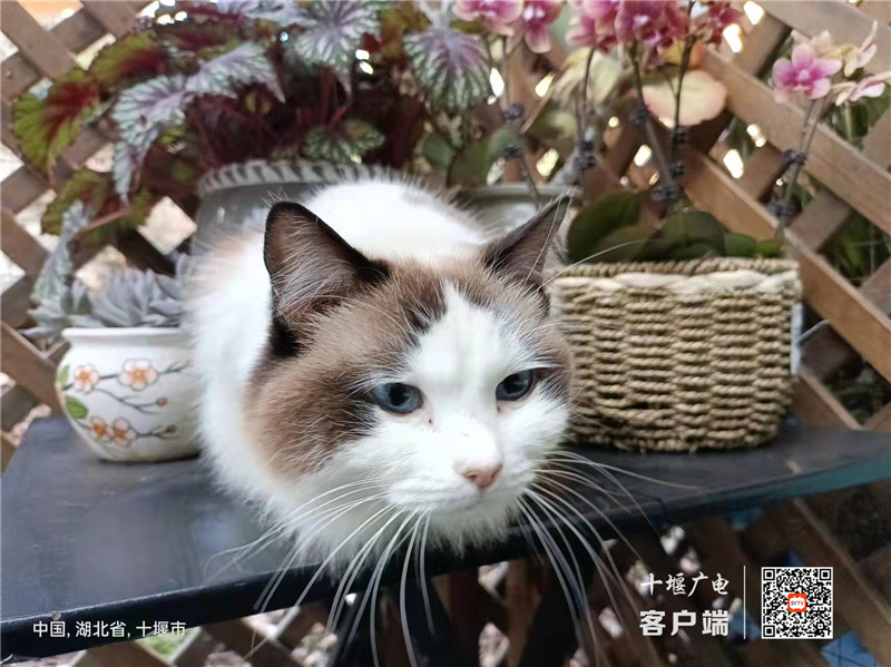 微信图片_202202111053525