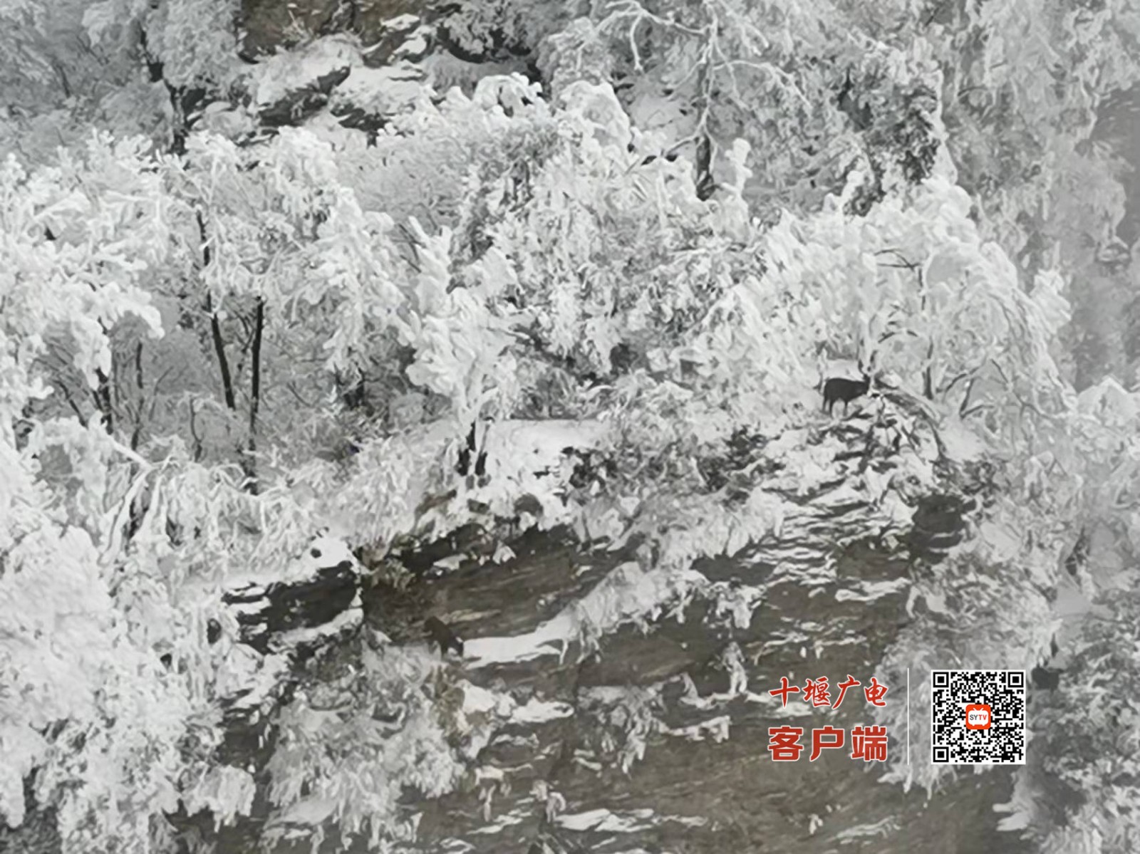 微信图片_20220219140457