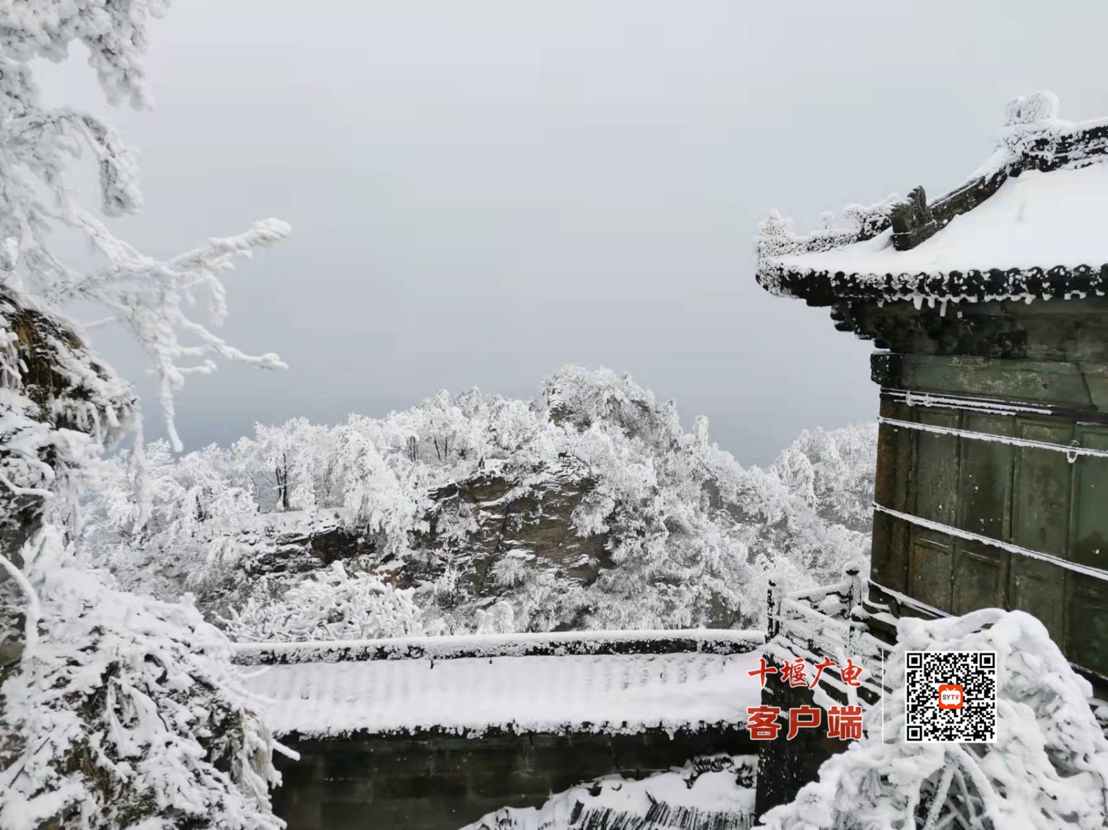 微信图片_20220219140449