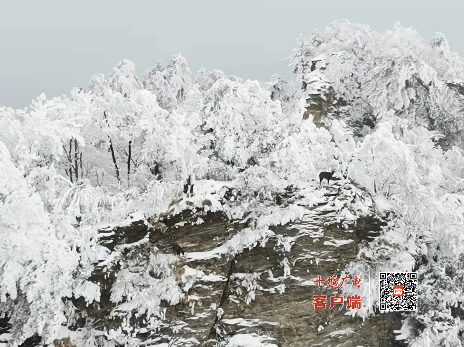 微信图片_20220219140453