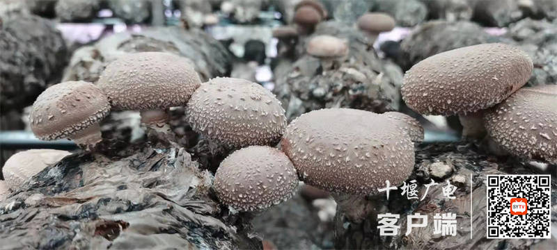 微信图片_20220221154421_副本