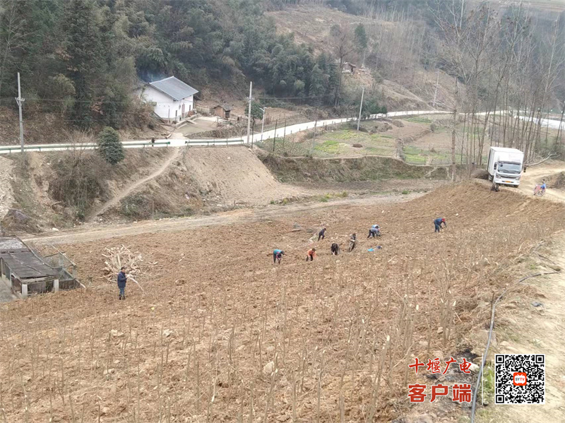 村民积极发展产业