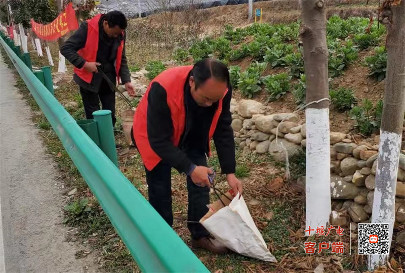 共青村清理河道垃圾