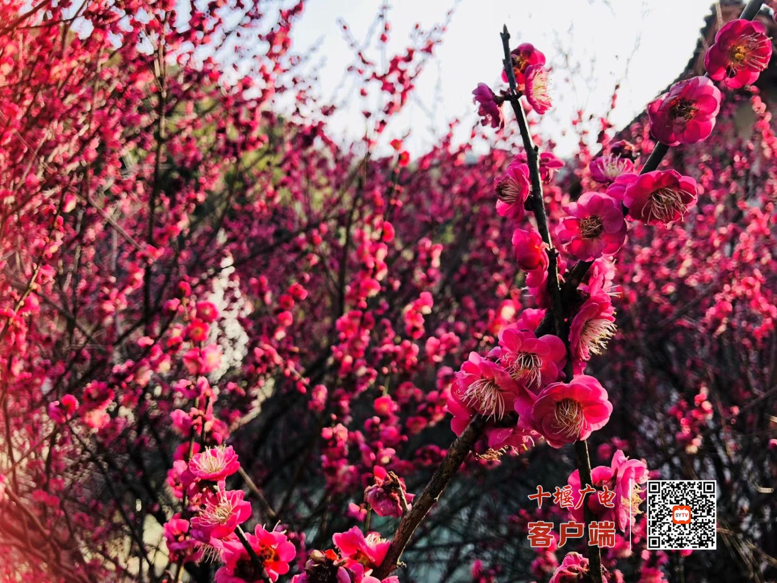 微信图片_20220305143328