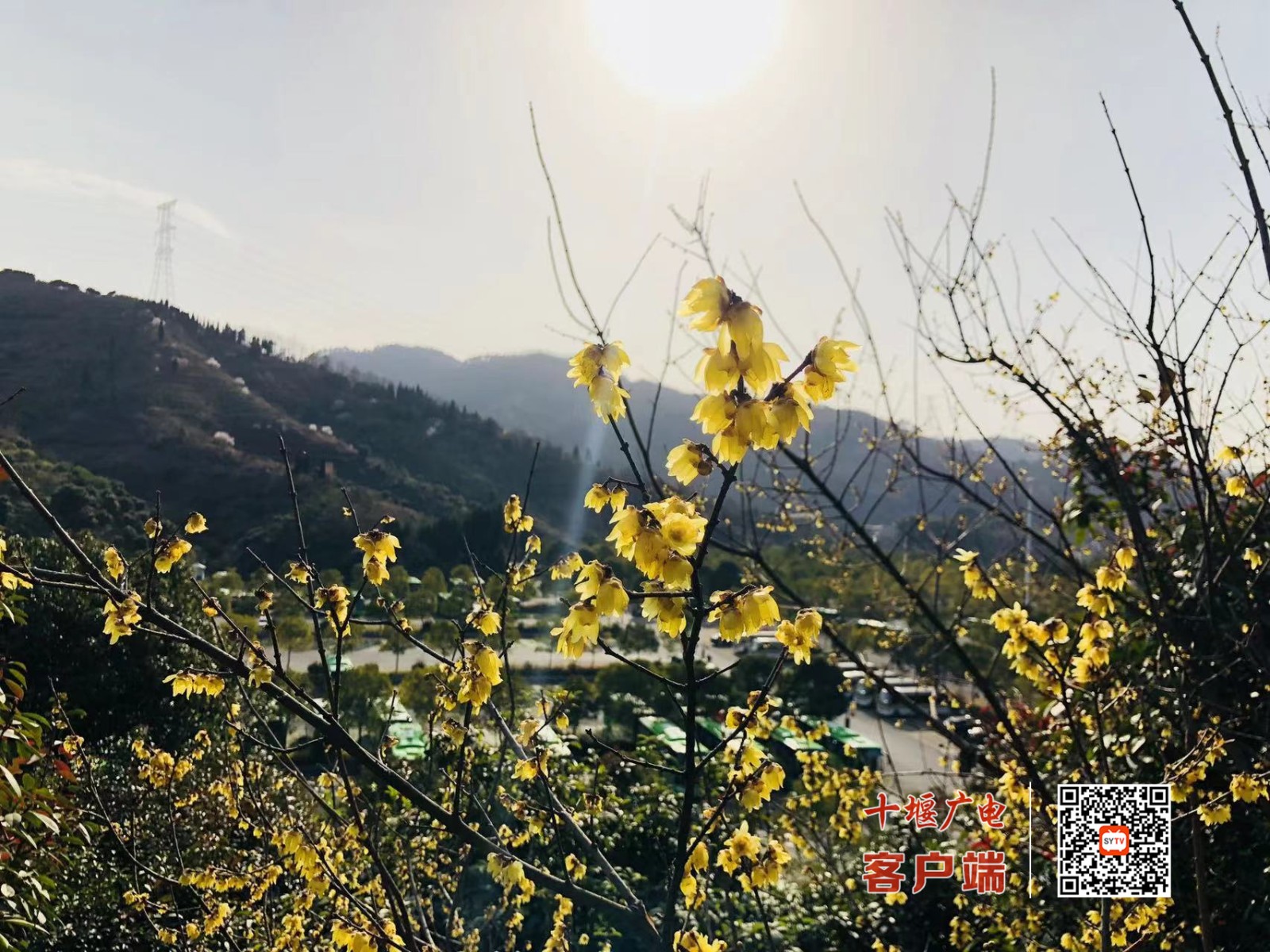 微信图片_20220305143343