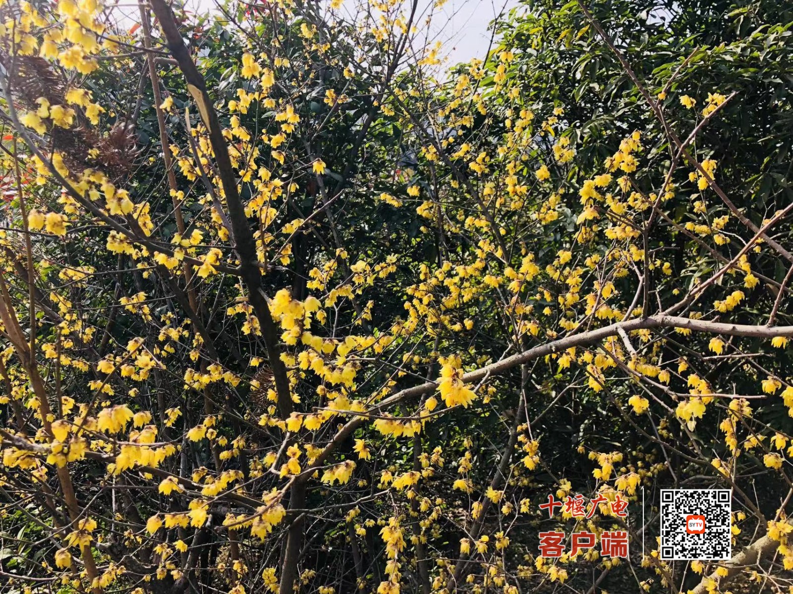 微信图片_20220305143339