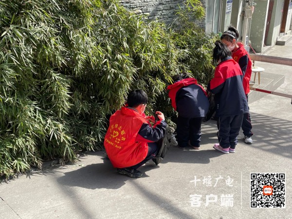 -fc0496682793a28_副本