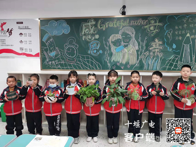 班级植物角