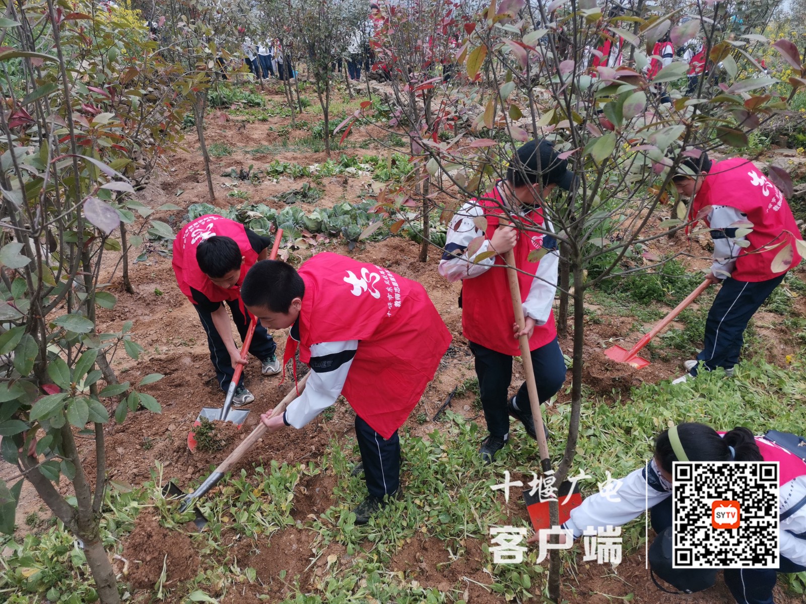 2022.3.12 十堰市东风铁路学校青年师生参加团十堰经开区委组织的义务植树活动 (3)