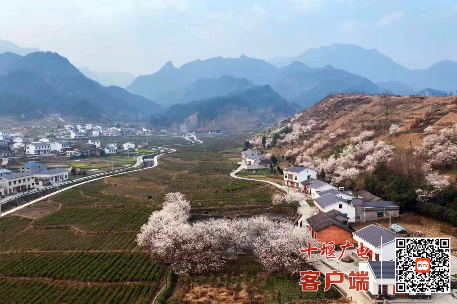 微信图片_20220313110749