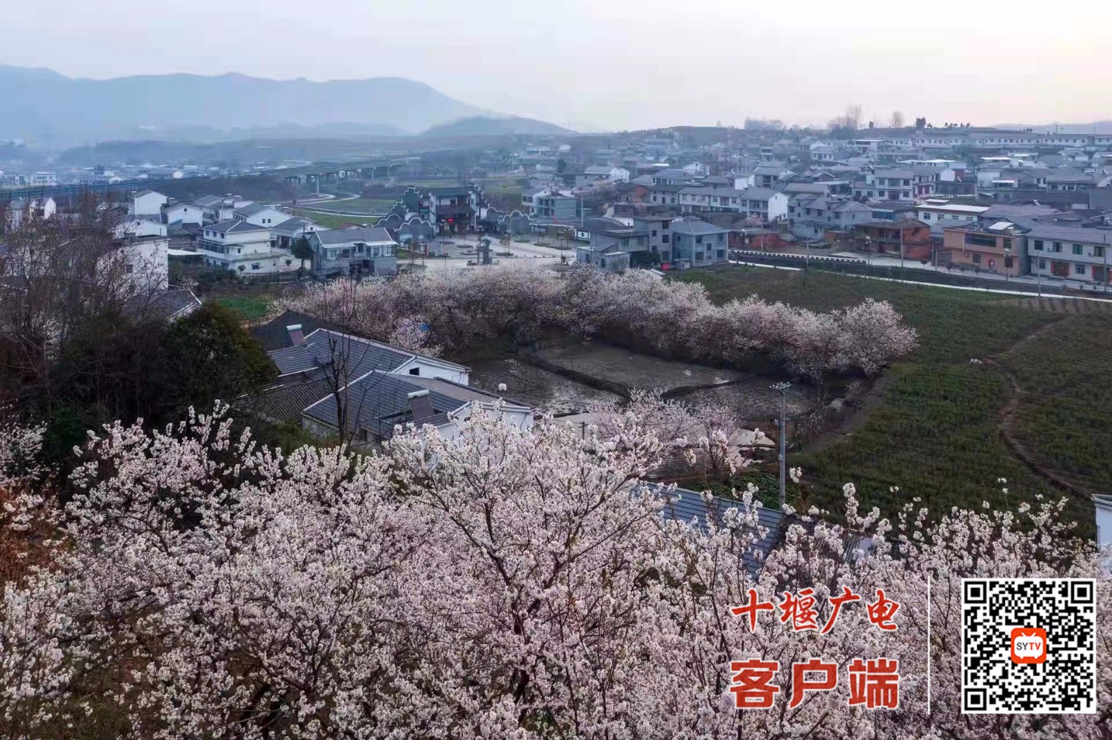 微信图片_20220313110816