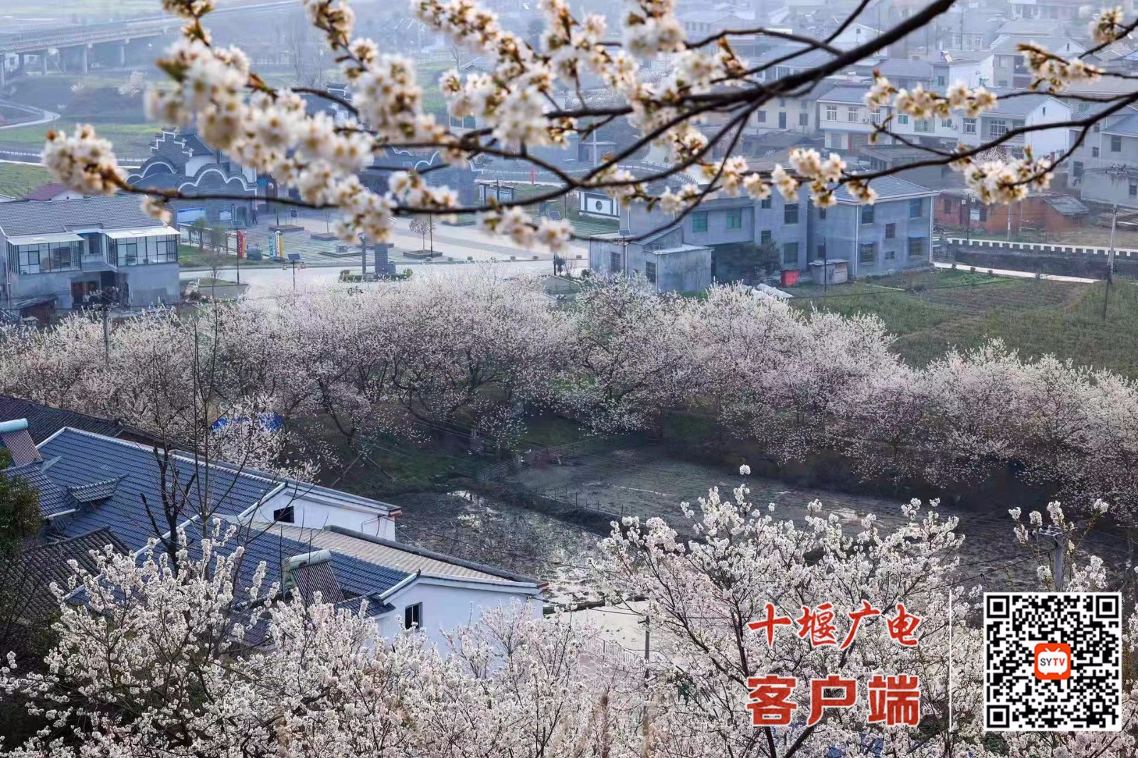 微信图片_20220313110827