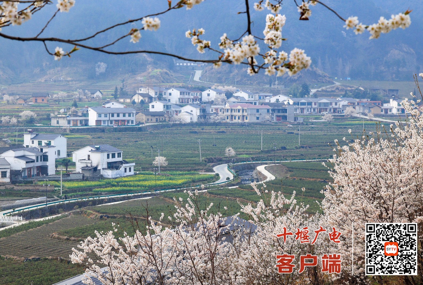 微信图片_20220313110831
