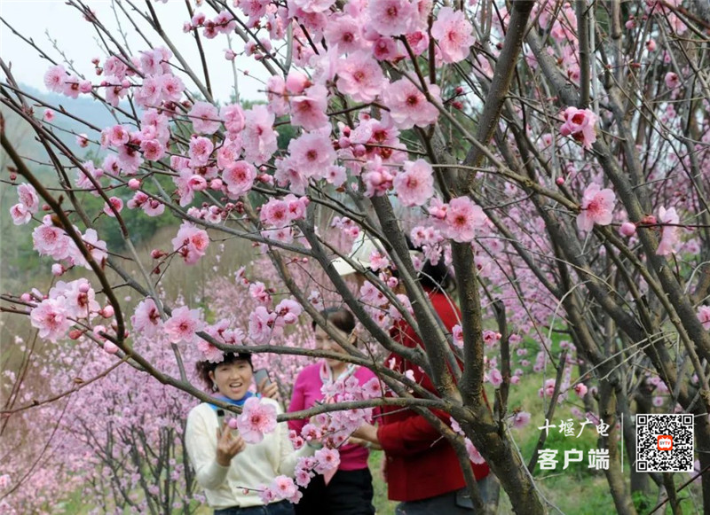 微信图片_20220313143626