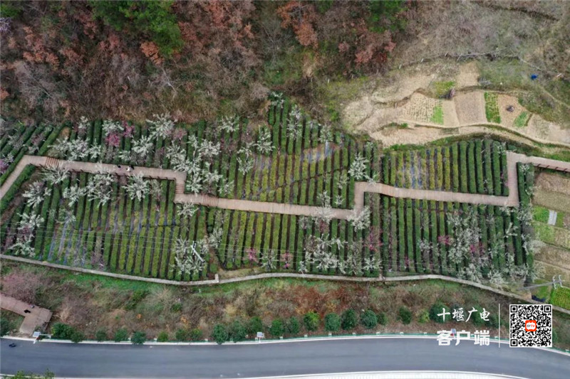 微信图片_20220313143646