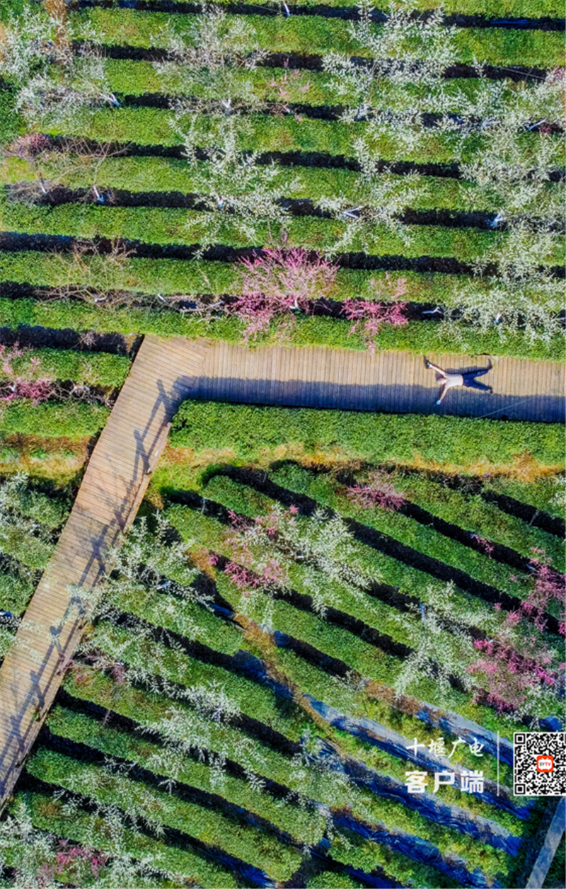 微信图片_20220313143642