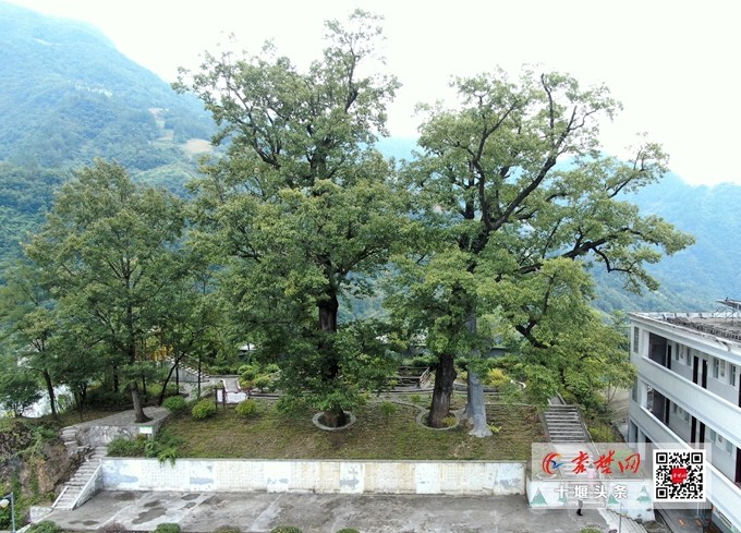 08