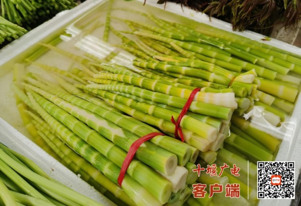 360截图20220314153801424_副本