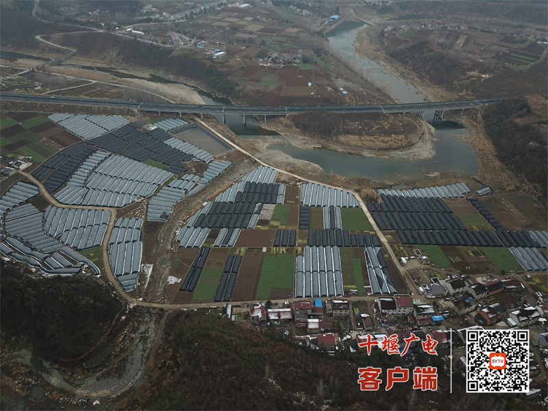 mmexport1647315043245
