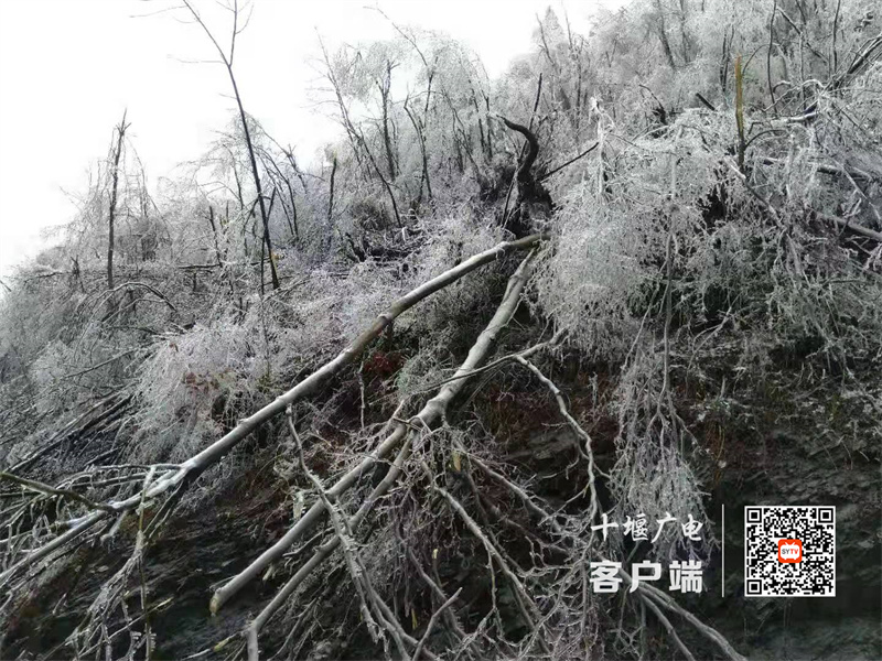 微信图片_20220322190504