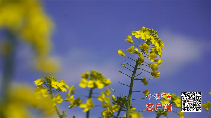 Still1201_00024