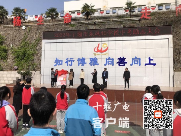 图片4