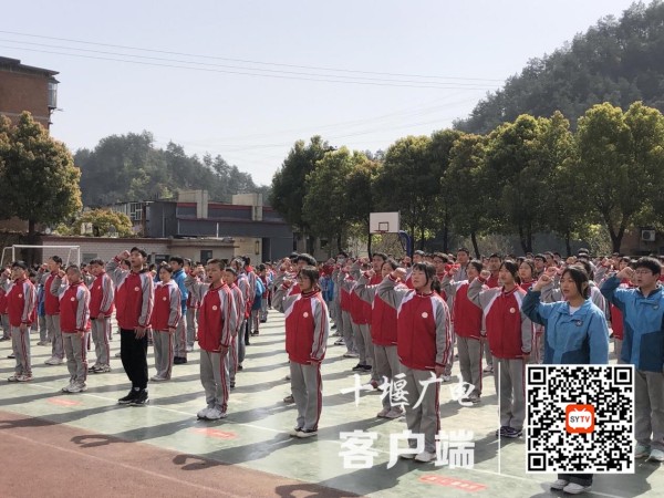 图片1