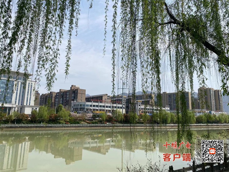 房15
