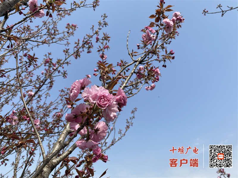 房12