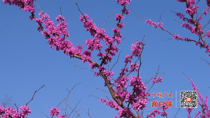 Still1201_00026