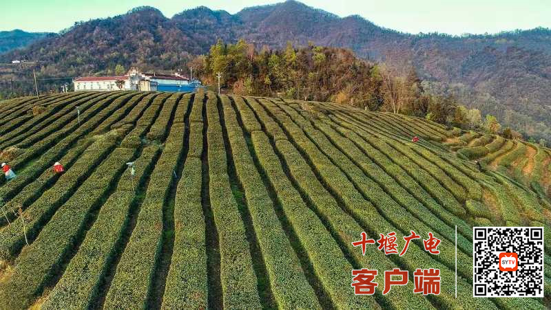 微信图片_20220331100321