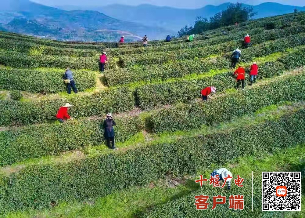 微信图片_20220331100329