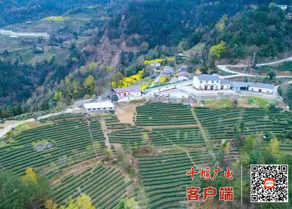 微信图片_20220331100324