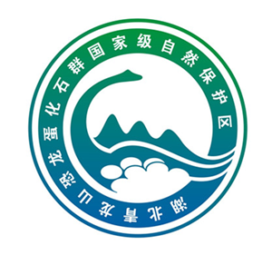 图片6