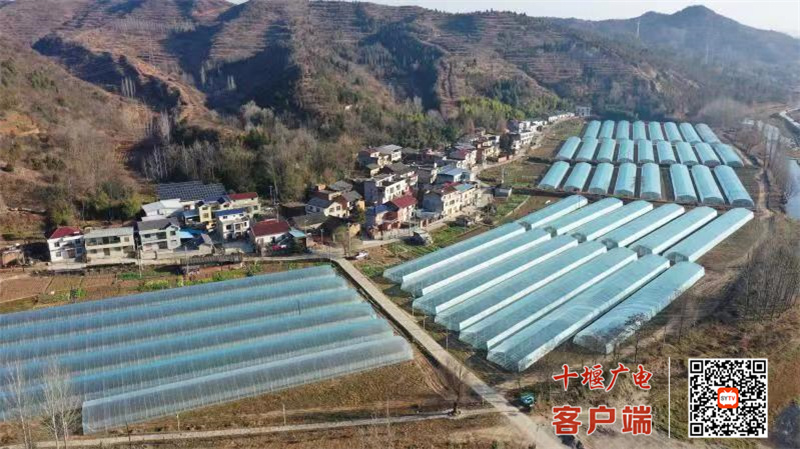 化龙堰镇上湾村连片蔬菜大棚基地