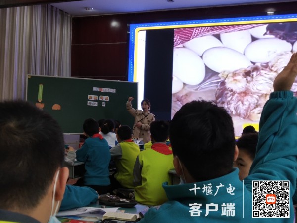 22c6945ba0a39b0072e5c91e846911f_副本