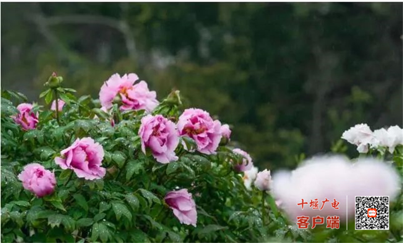 1_副本