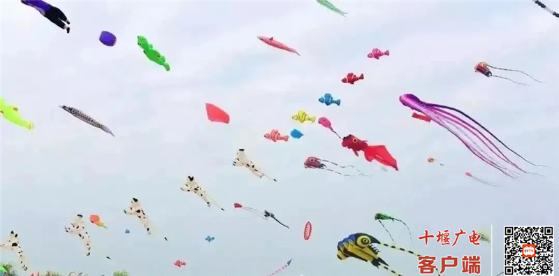 微信图片_20220402090655