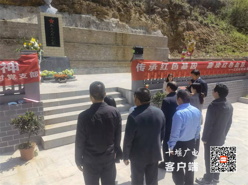 图片1