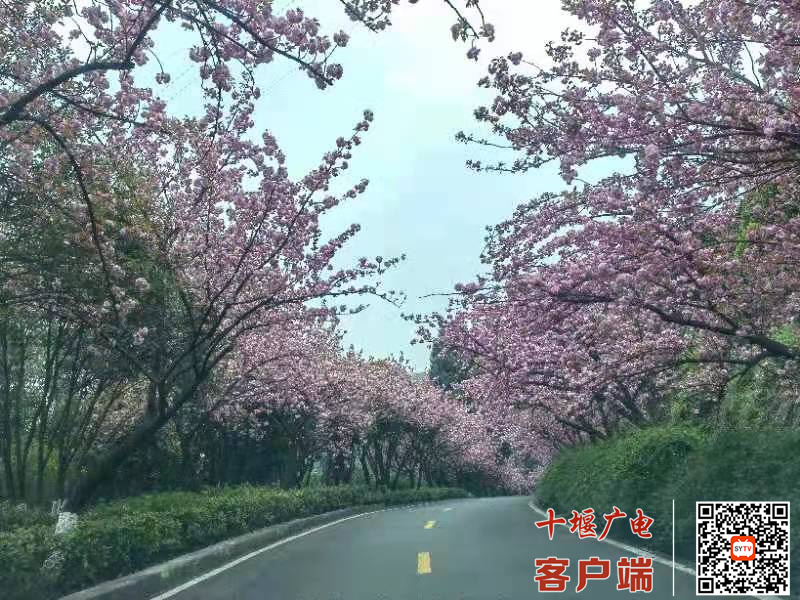 微信图片_20220403081359