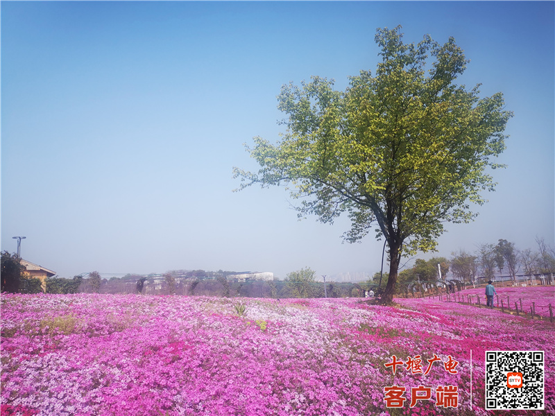 微信图片_20220403093014