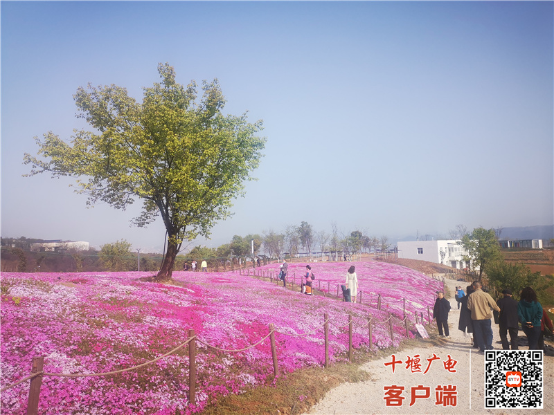 微信图片_20220403093007