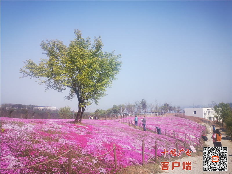 微信图片_20220403093021