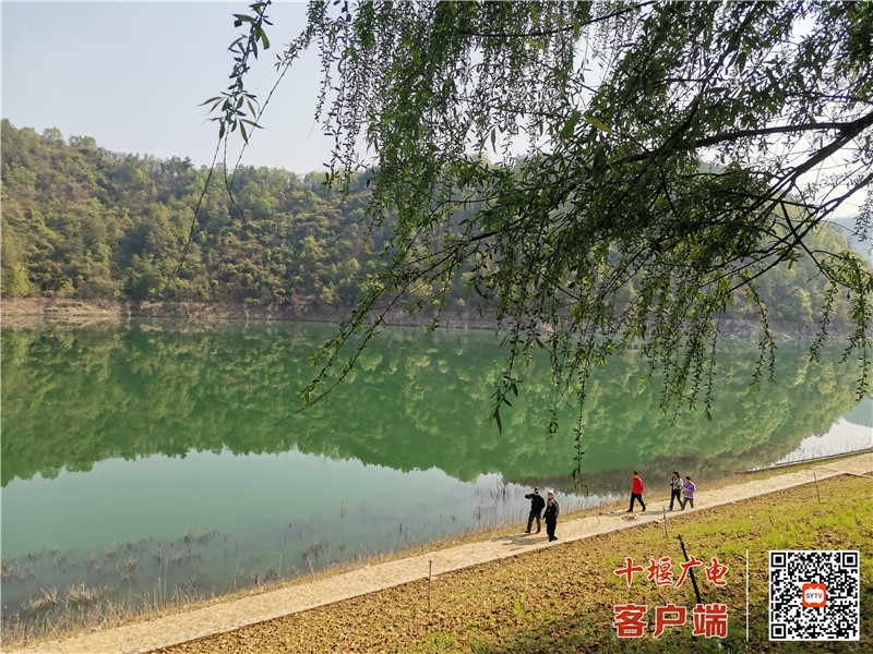微信图片_20220403095719