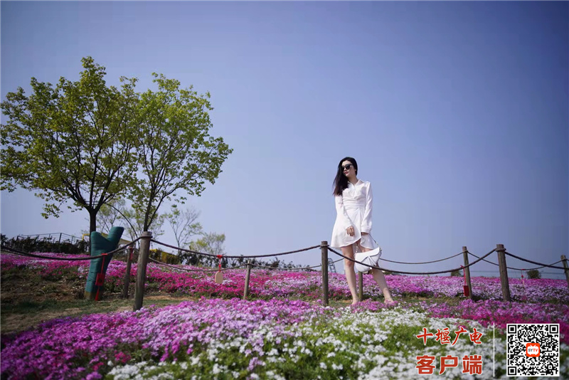 微信图片_20220403100222