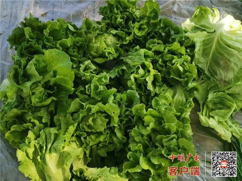 微信图片_20220403101149