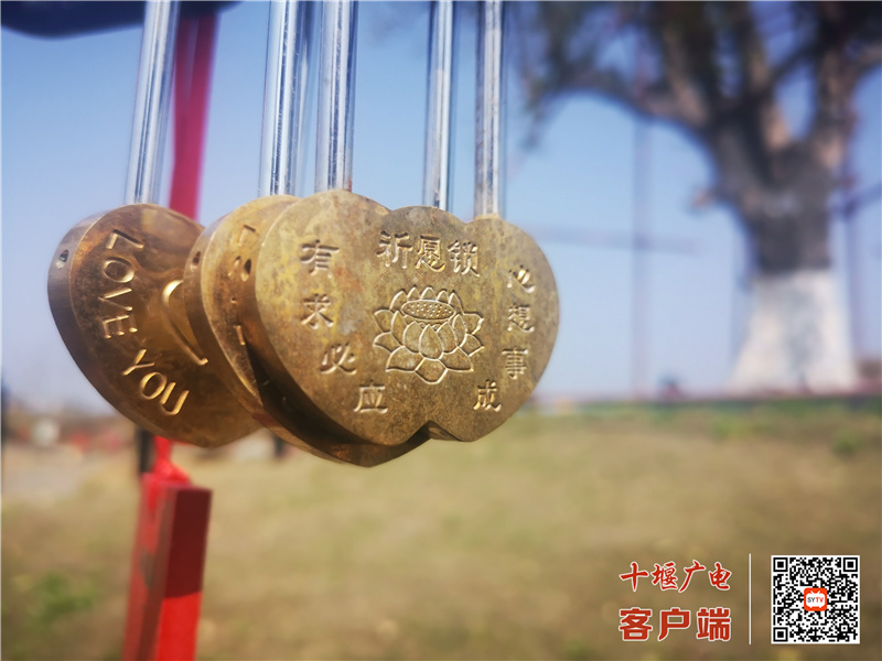 微信图片_20220403110212