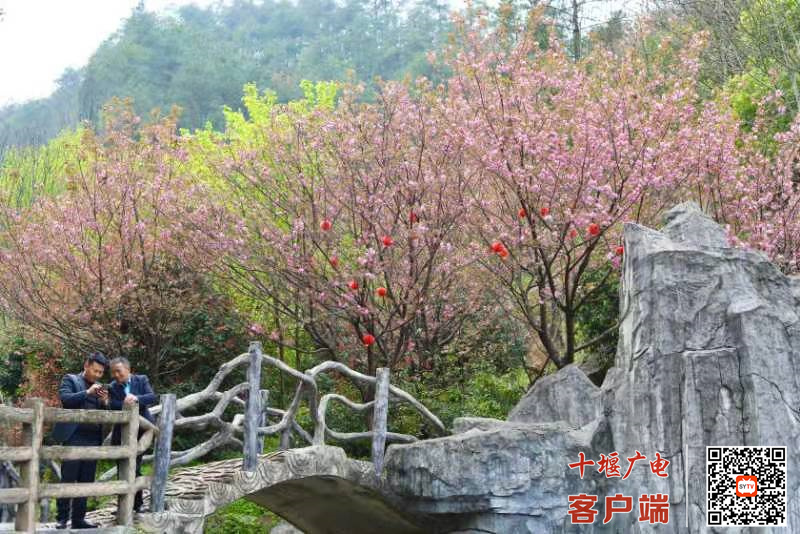 微信图片_20220403110738