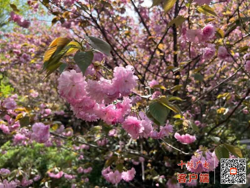 微信图片_20220403110743