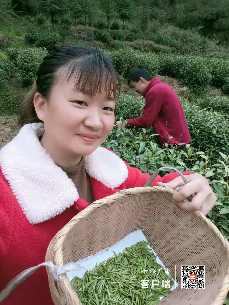 微信图片_20220404155759_副本